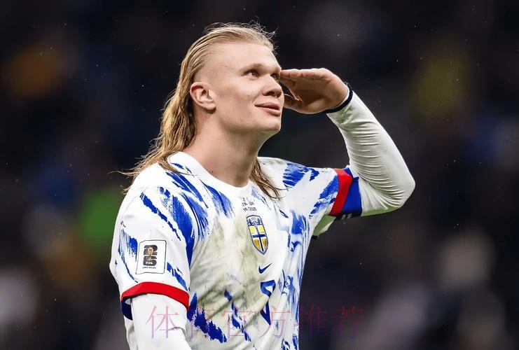 本届世界杯葡萄牙哈兰德赛事预测全面分析 本届世界杯葡萄牙哈兰德赛事预测全面分析